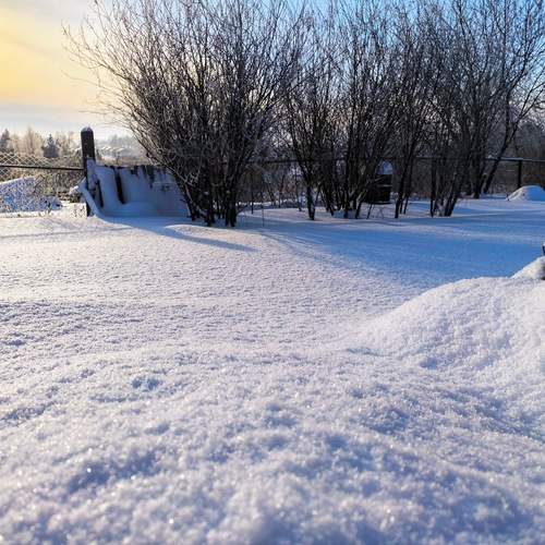 Photo #13028917