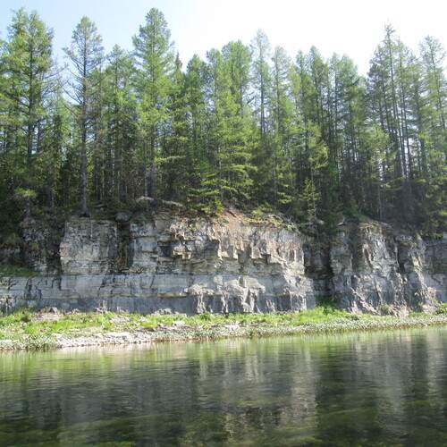 Photo #13029109