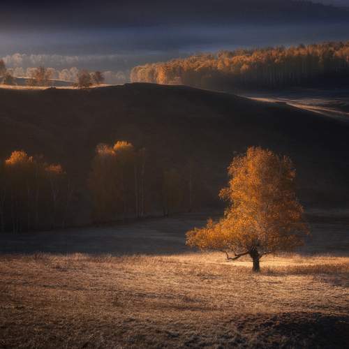 Photo #13029112