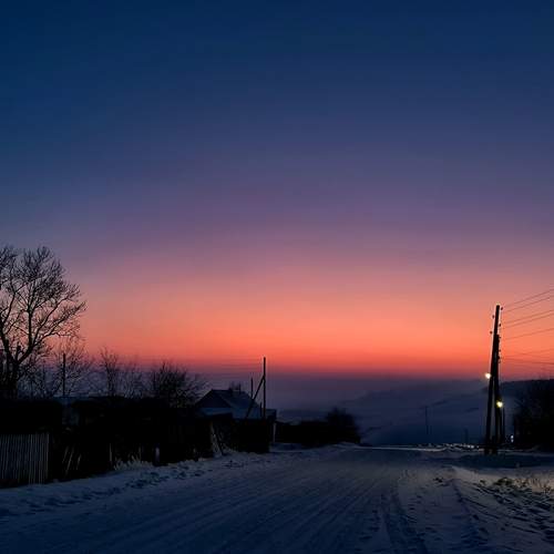 Photo #13029132