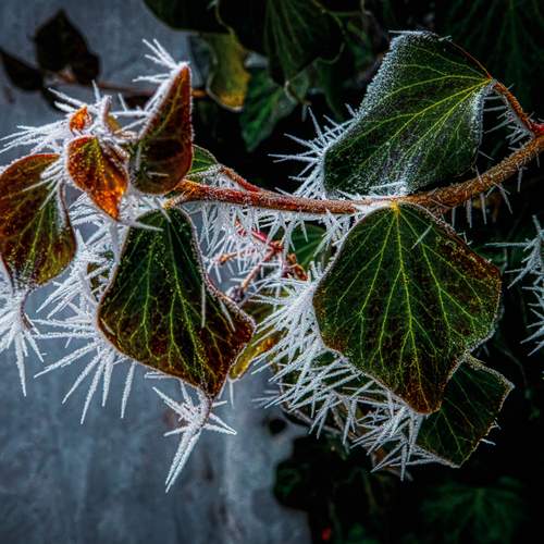 Photo #13029155