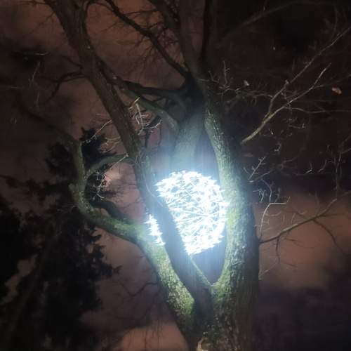 Photo #13029175
