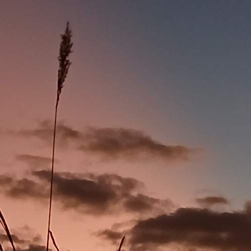Photo #13029189