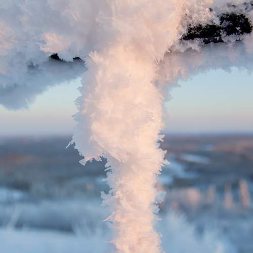 Photo #13029207