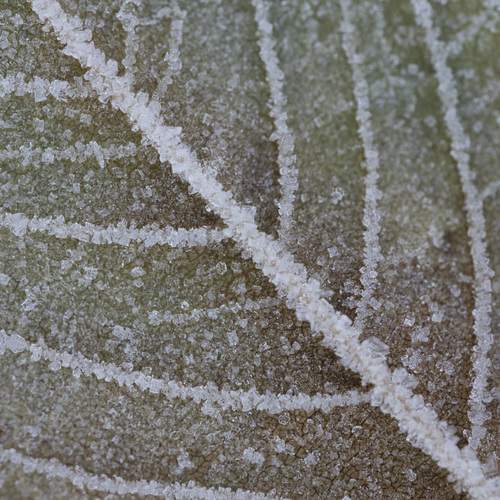 Photo #13029297