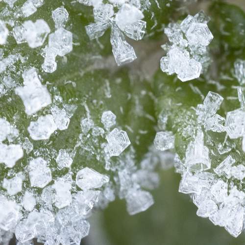 Photo #13029299