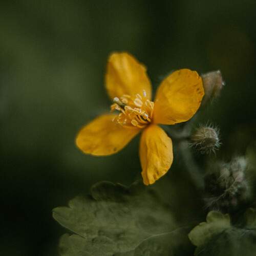 Photo #13029446