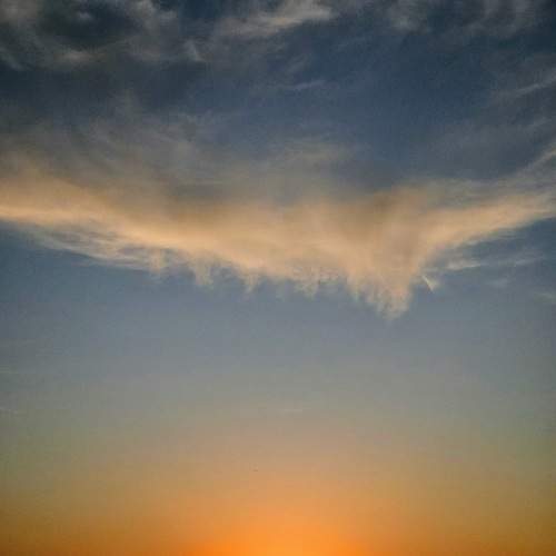Photo #13029589