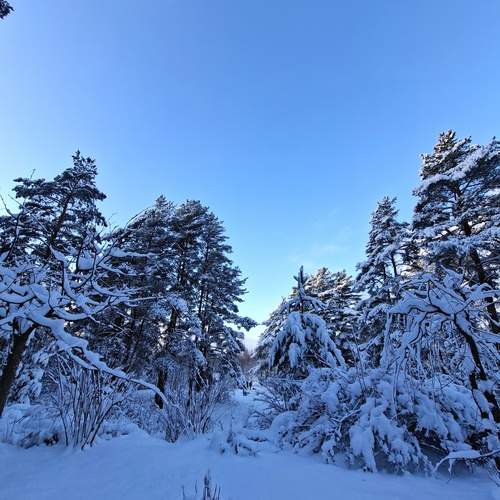Photo #13030084