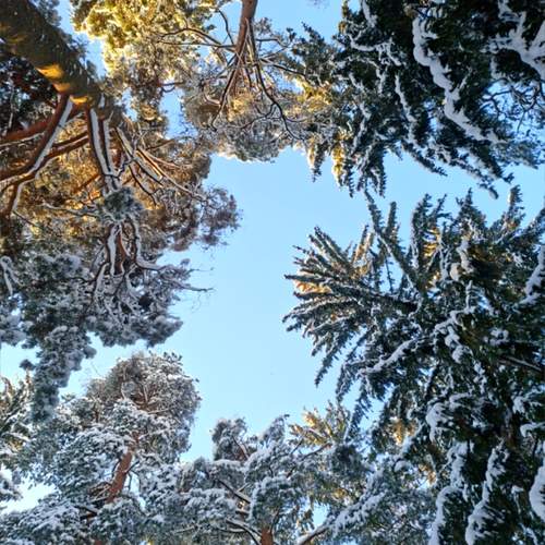 Photo #13030088