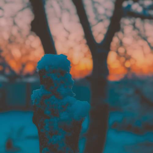 Photo #13030179