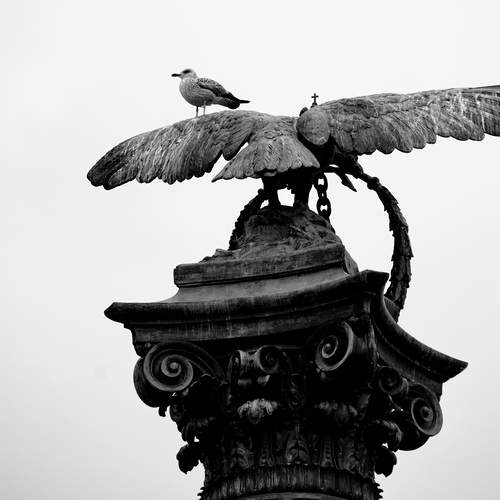 Photo #13030282