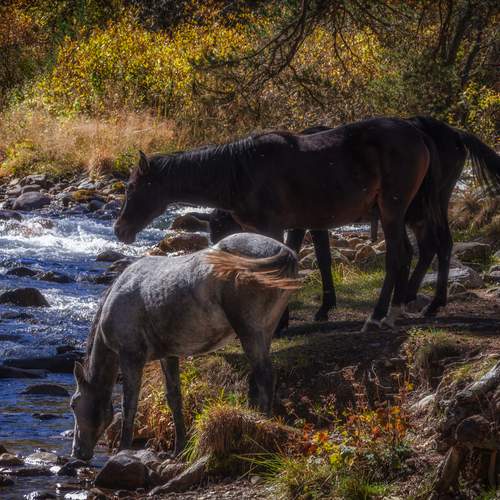 Photo #13030325