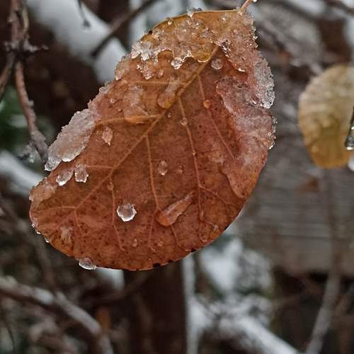 Photo #13030353