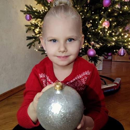Photo #13030385