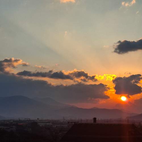 Photo #13030600