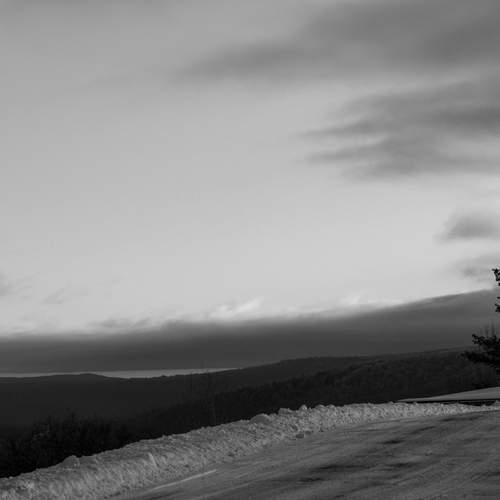 Photo #13030631