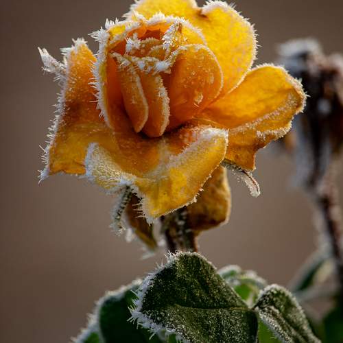Photo #13030651