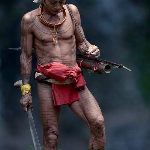 The Living Canvas: A Warrior\'s Respite