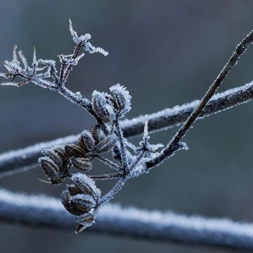 Фотография #13030958