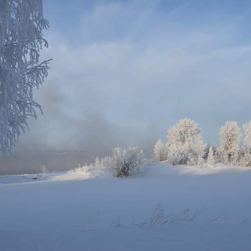Photo #13031012