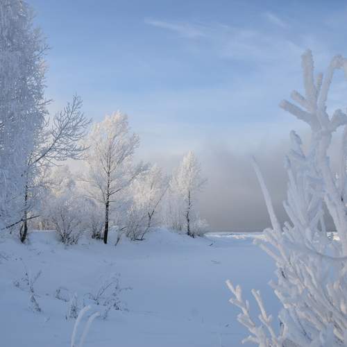 Photo #13031013