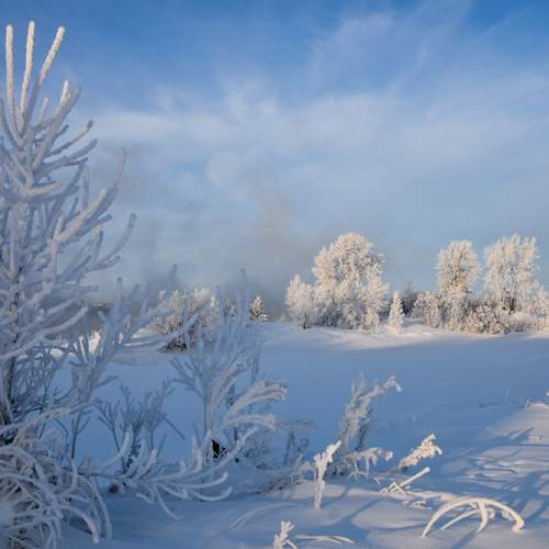 Photo #13031019