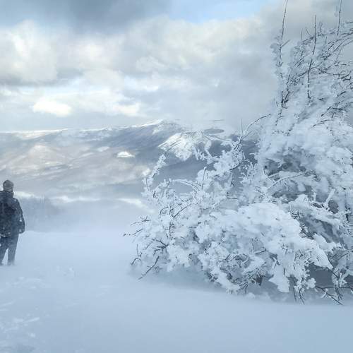 Фотография #13031031