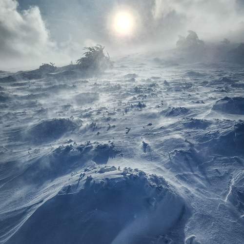 Фотография #13031032