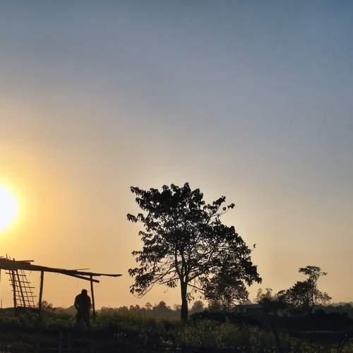 Photo #13031129