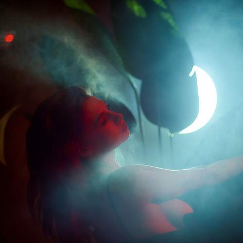 Photo #13031156