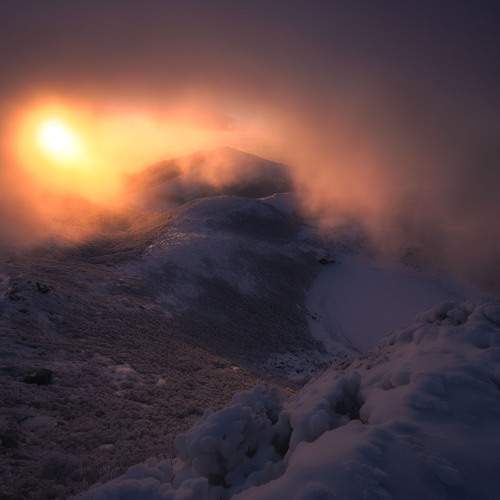 Photo #13031228