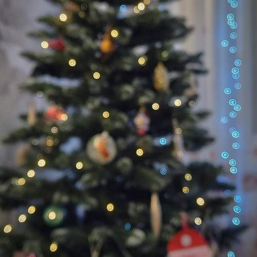 Photo #13031277