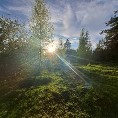 Photo #13031467