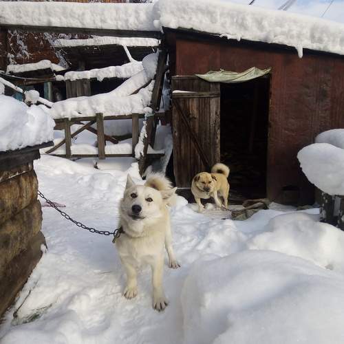 Photo #13031471