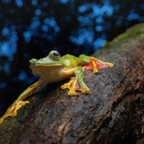 Фотография #13031494