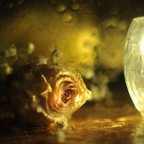 Фотография #13031512