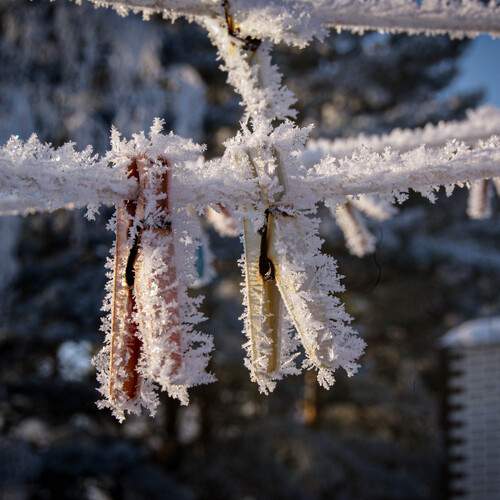 Photo #13031623