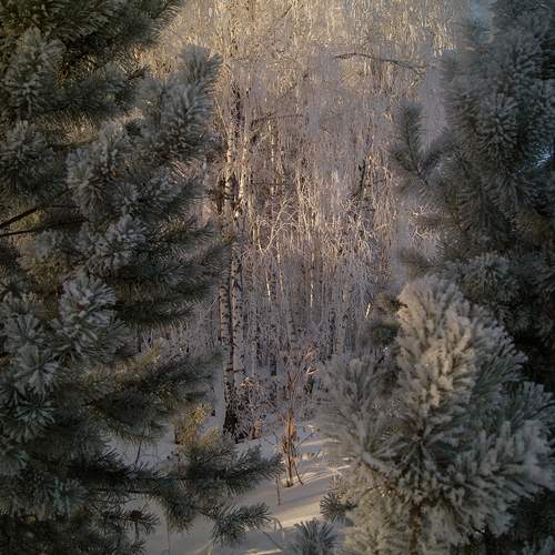 Photo #13031625