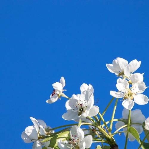 Photo #13031855