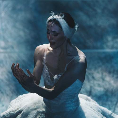 Photo #13031875