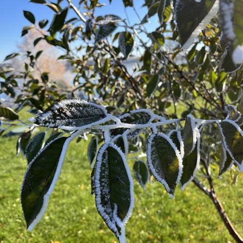 Photo #13031914
