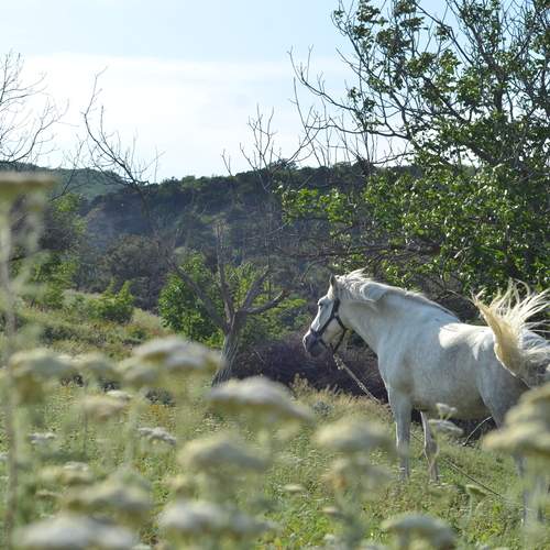Photo #13032079