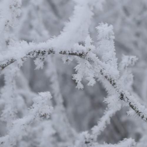 Photo #13032087