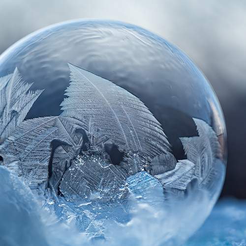 Frozen