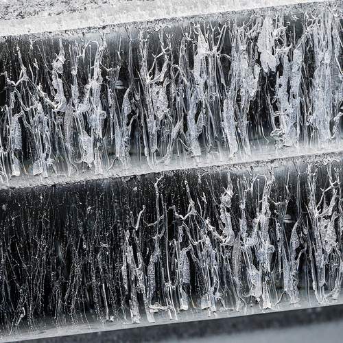 Photo #13032179