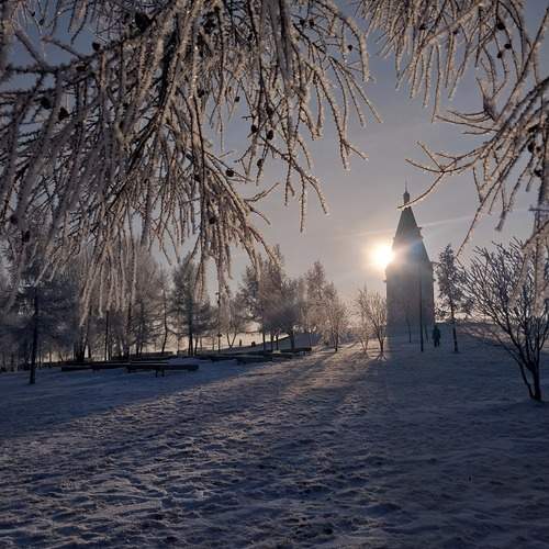 Photo #13032190