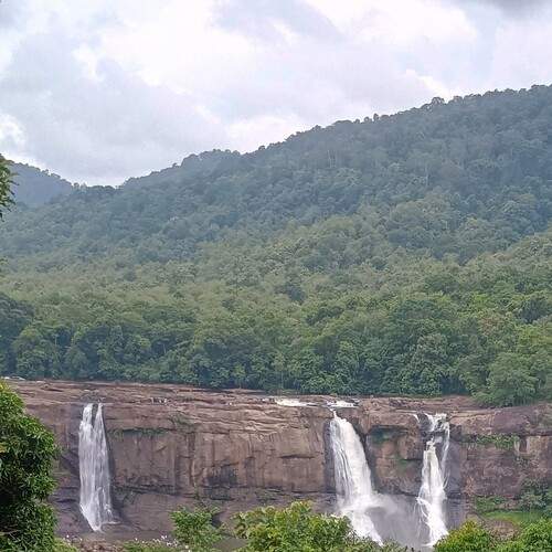Photo #13032319
