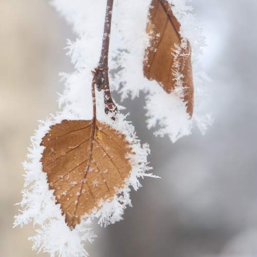 Photo #13032353