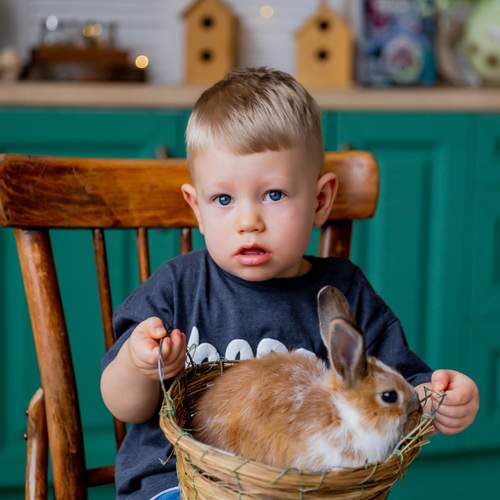 Photo #13032397